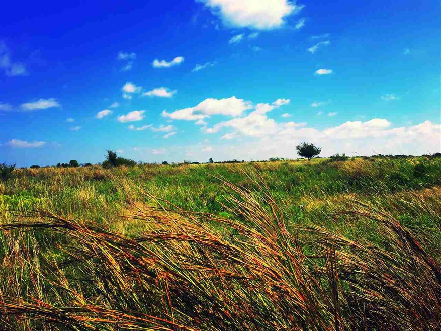 Sold $506,550 • Co-Listing Agent