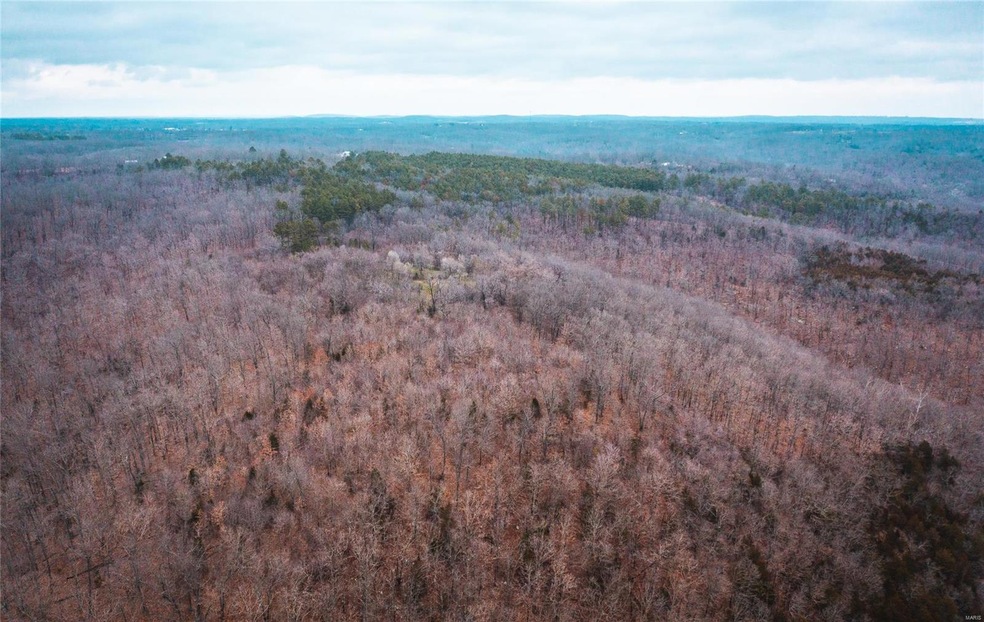 0 County Road 7340 unit 22022246, Newburg, MO 65550 - photo 1