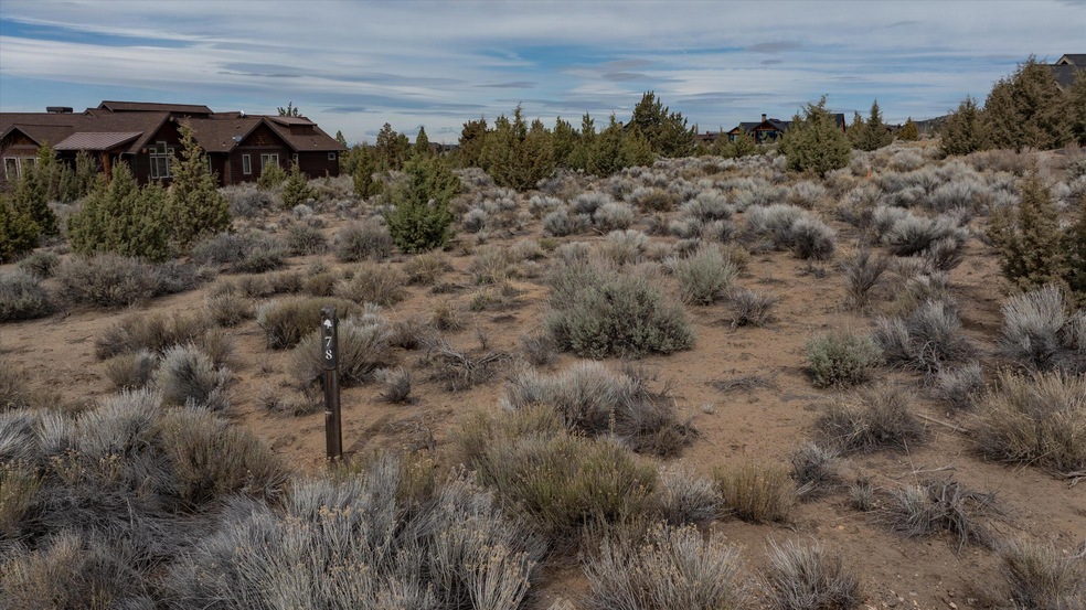 16-250324_JILLROSELL-14