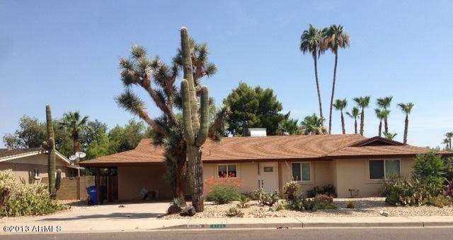 Cholla Front