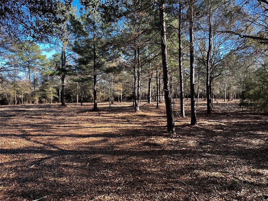 31317 Joseph Rd, Hockley, TX 77447 - photo 1