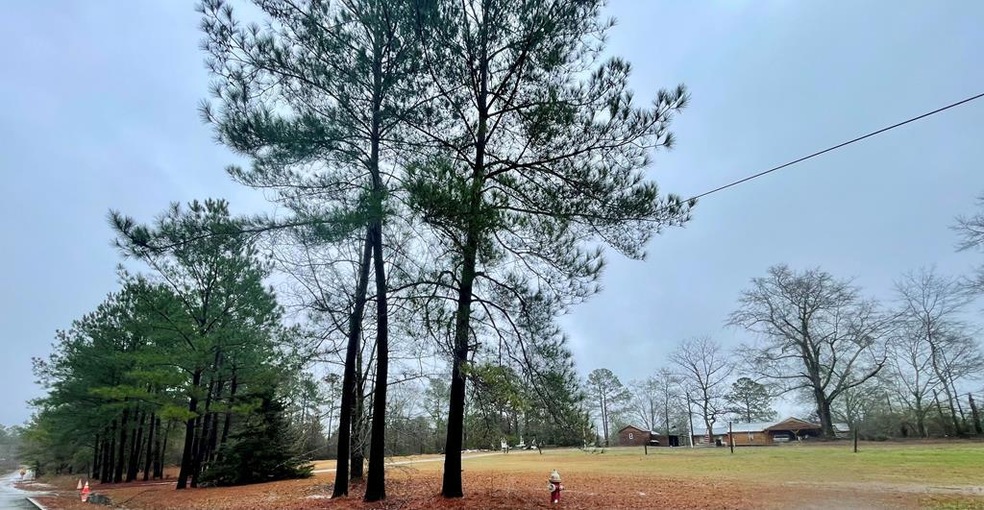 0 S Monroe St, Sylvester, GA 31791 - photo 1