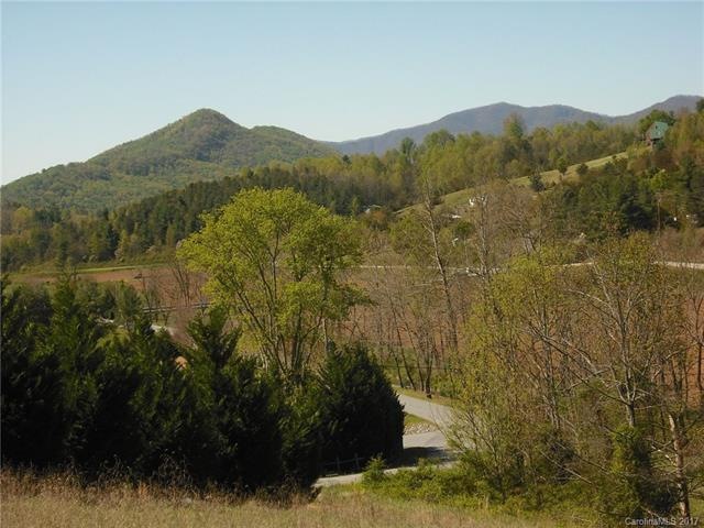 2 Timber Hill Dr unit LOT 1, Leicester, NC 28748 - photo 1