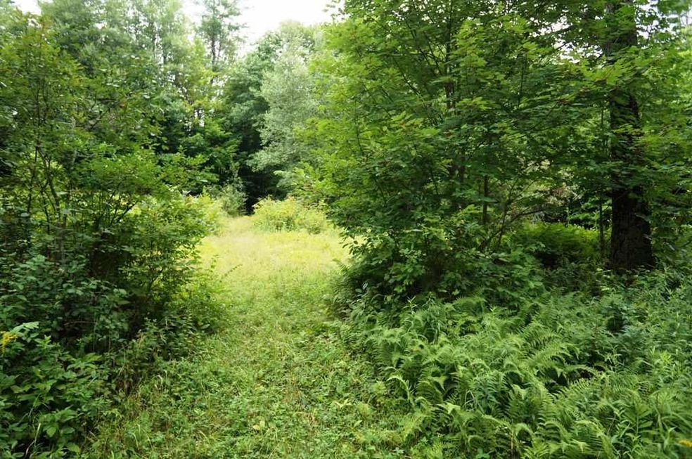 0 Rhoades Rd unit 11D 4872884, Alstead, NH 03602 - photo 1