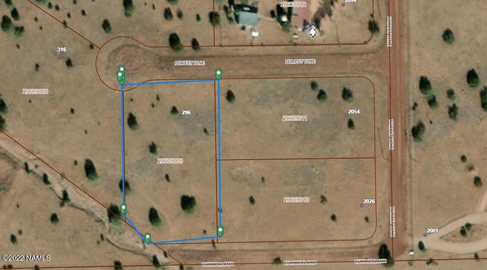 296 Forest Line Cir unit 781, Williams, AZ 86046 - photo 1