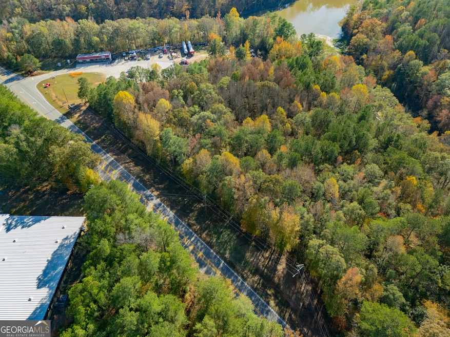 100 Tallapoosa Rd, Tallapoosa, GA 30176 - photo 1