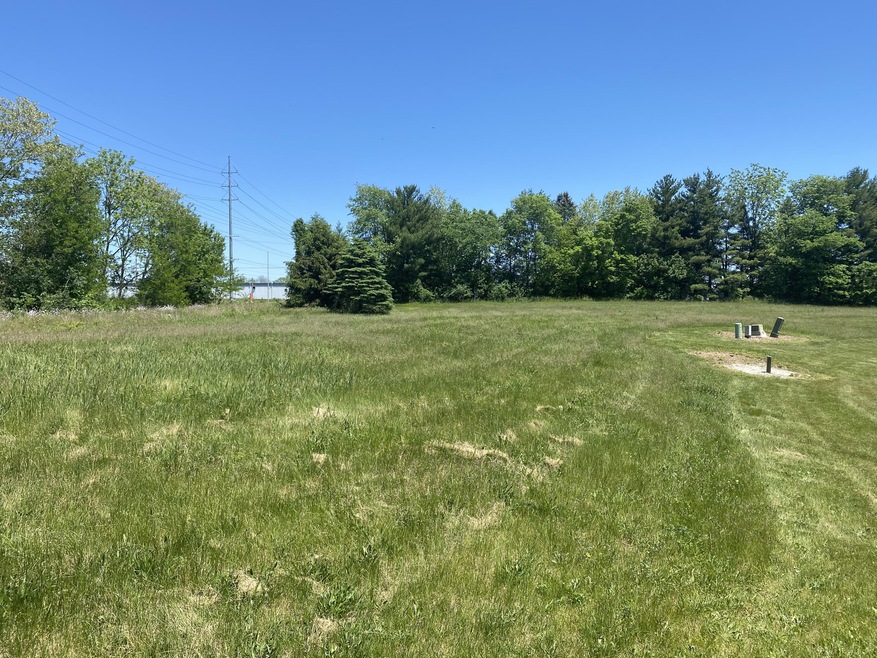 Lot 5