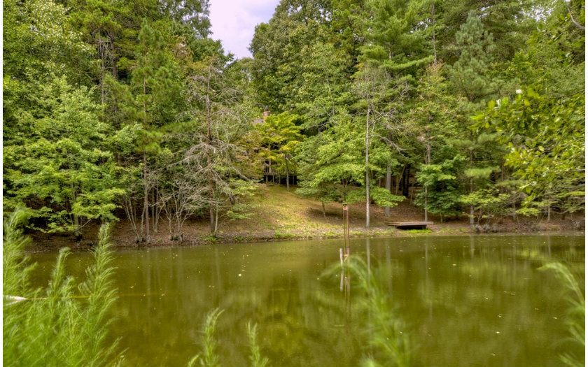 184 Misty Hollow Rd, Ellijay, GA 30536 - photo 1