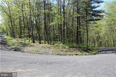 0 Whipporwill Rd unit 1004452001, Basye, VA 22810 - photo 1