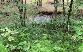 00 Cajun Ln - Lot 232, Ellijay, GA 30540 - photo 1