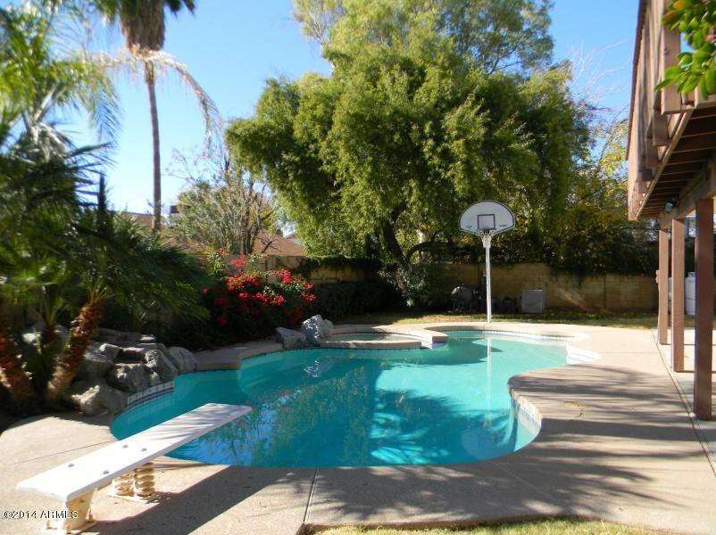 Diving Pool w/ spa