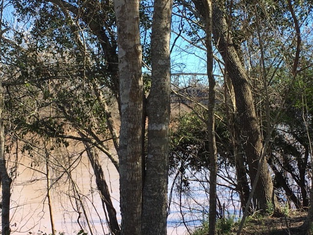 1305 N Market St, Brazoria, TX 77422 - photo 1