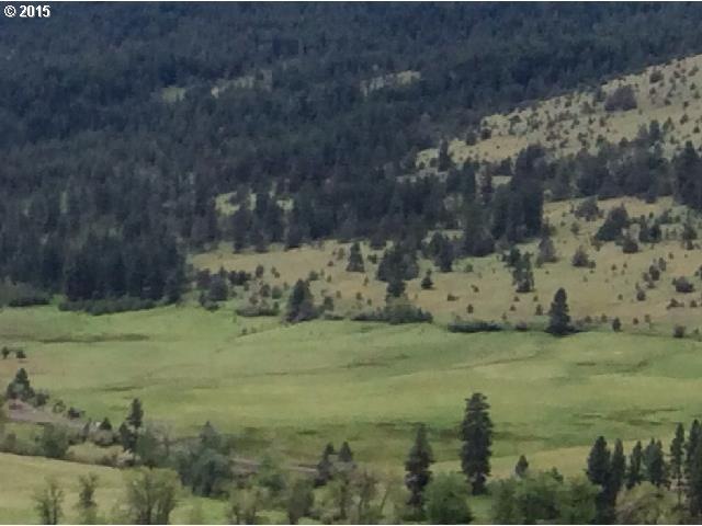 0 Keeney Forks Rd, Long Creek, OR 97856 - photo 1