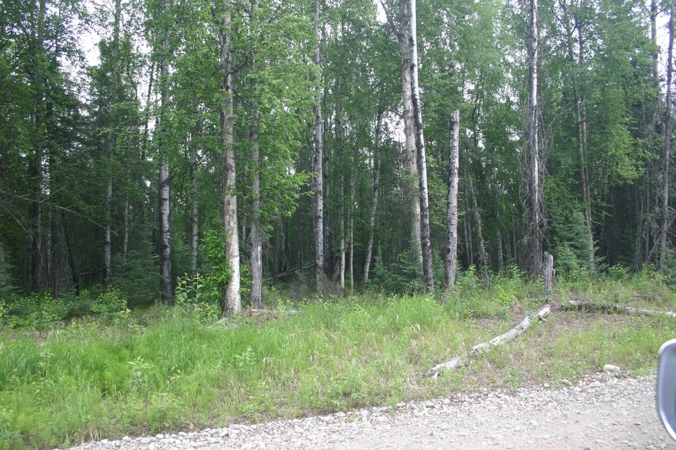 IMG_2903 - B2_ View from N Infinite Rd