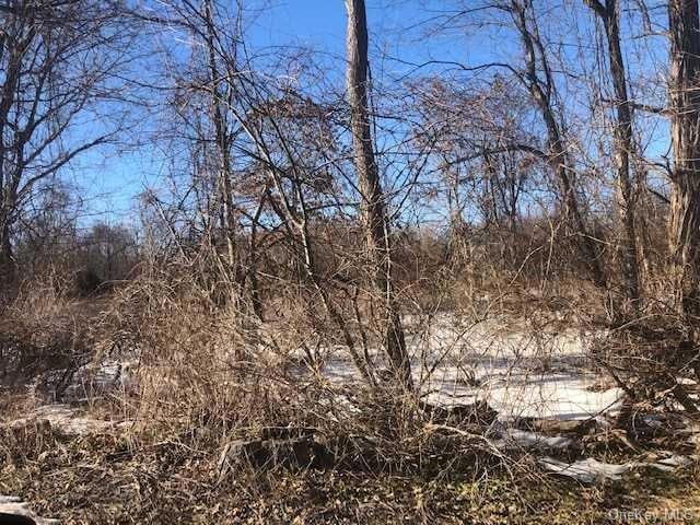 0 New York 216, Stormville, NY 12582 - photo 1