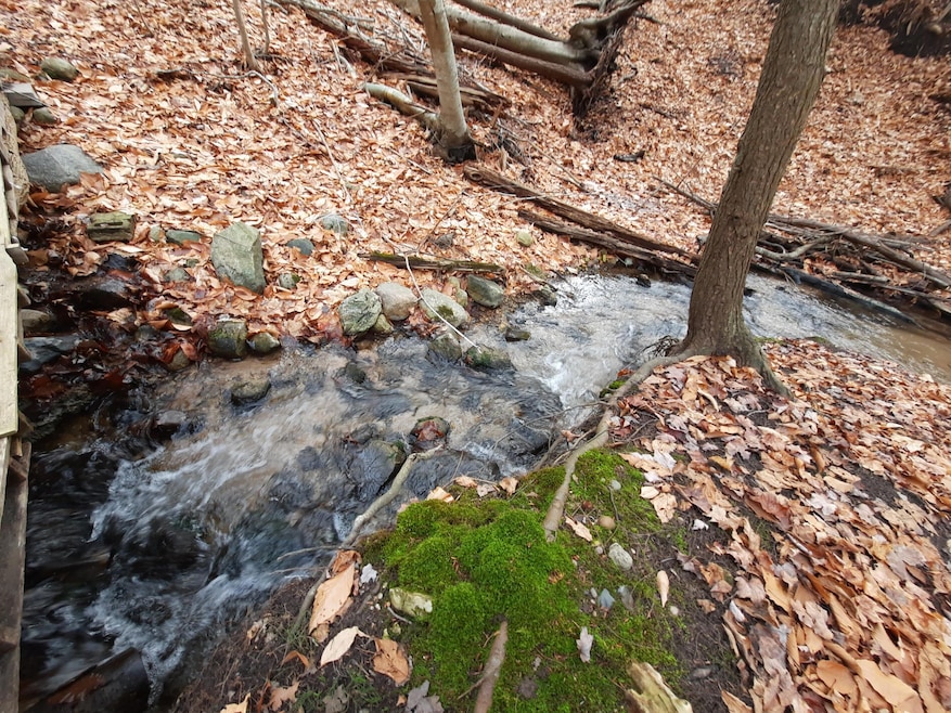 ~9 ACRES w Buildable LOT~1,000 ft CREEK