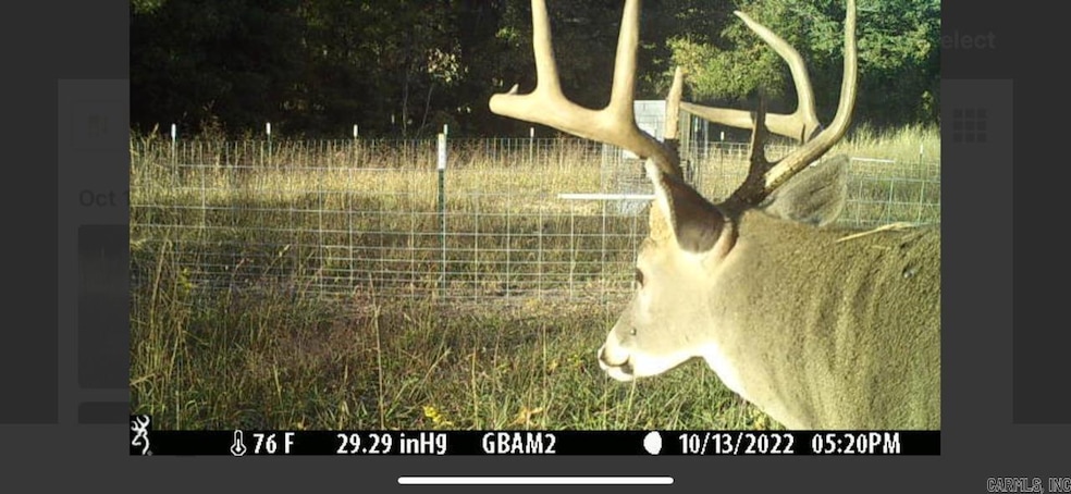 0000 Flannery Ln, Calico Rock, AR 72519 - photo 1