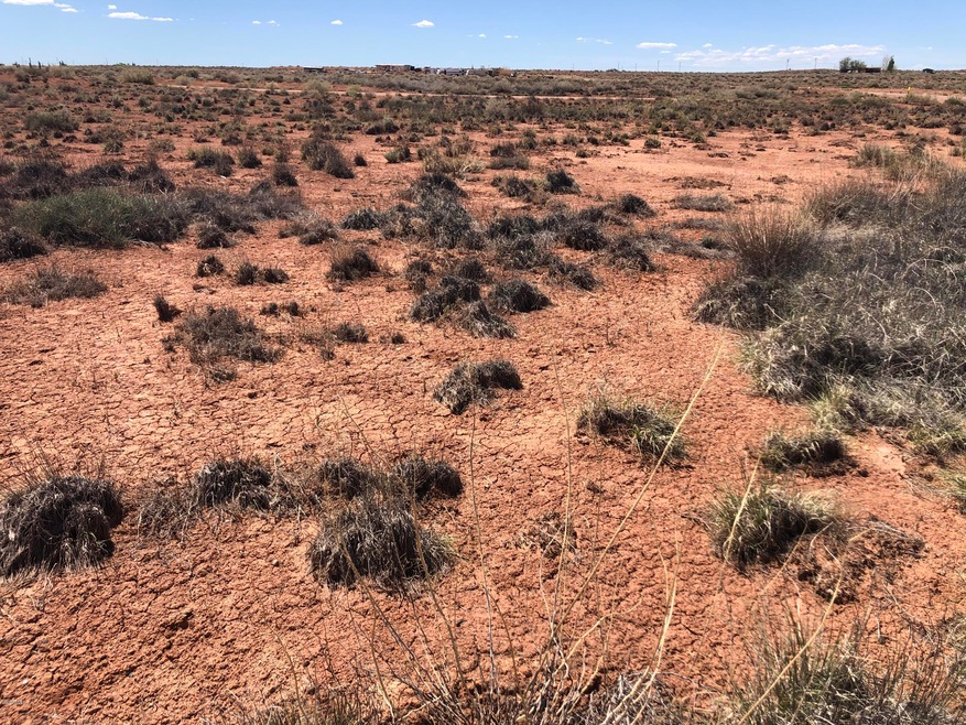 880 Marauder Rd, Winslow, AZ 86047 - photo 1