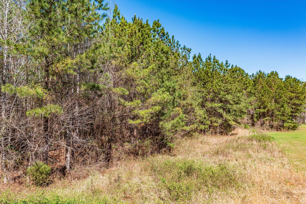 vacant land