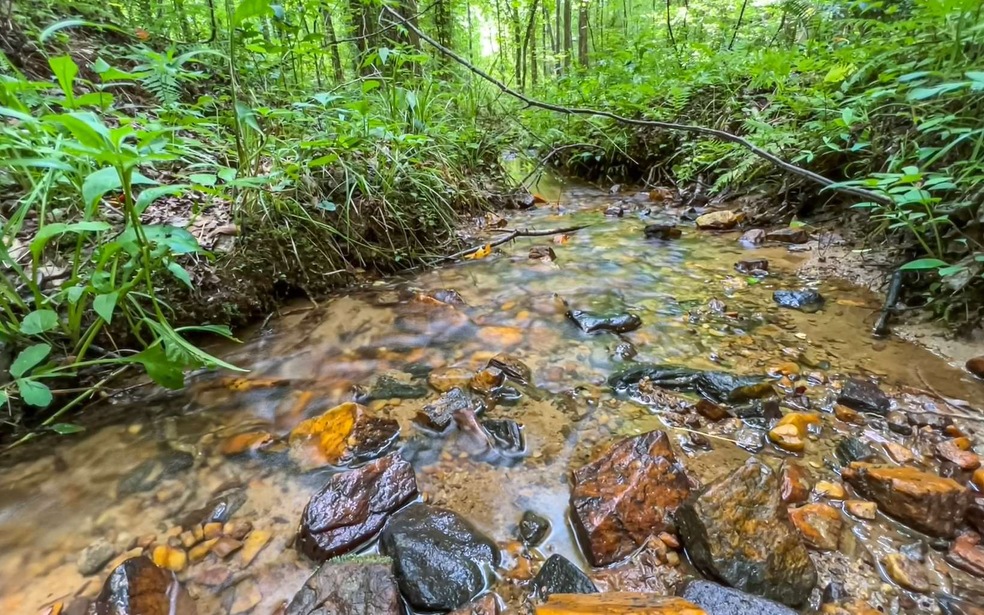 10.51 Harold Pritchett Rd, Ellijay, GA 30540 - photo 1