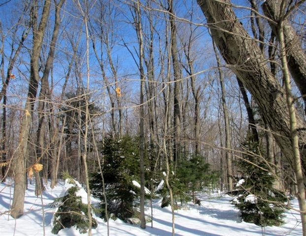 28 Hillside Ave, Airmont, NY 10952 - photo 1