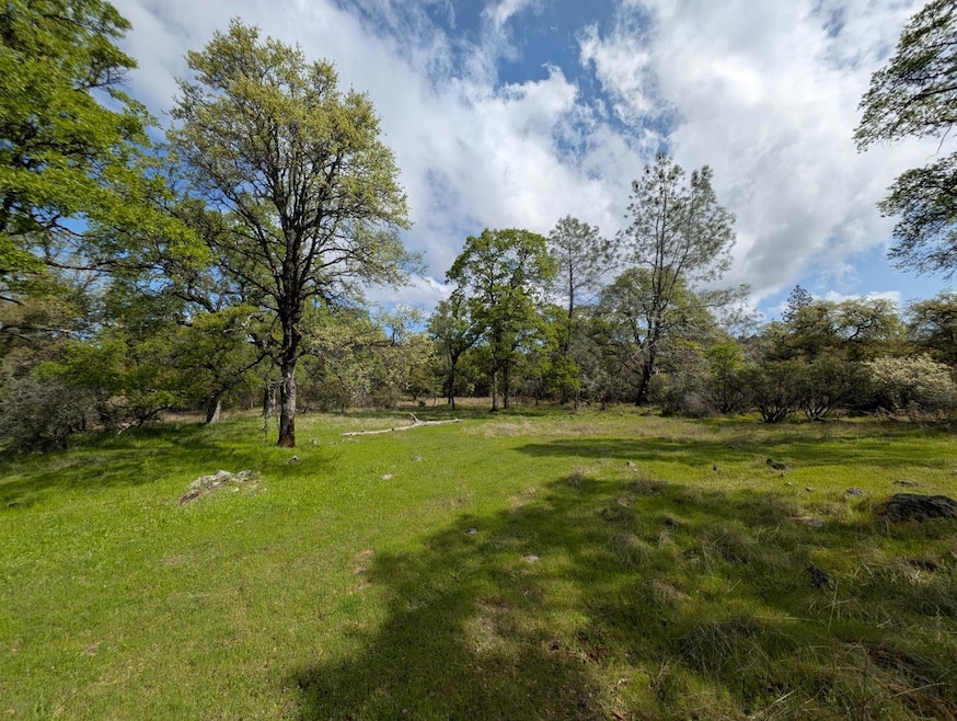 14677 Begonia Way, Oregon House, CA 95962 - photo 1