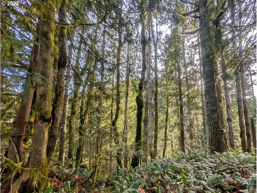 00971354 E Rolling Green Ct, Mount Hood Village, OR 97067 - photo 1