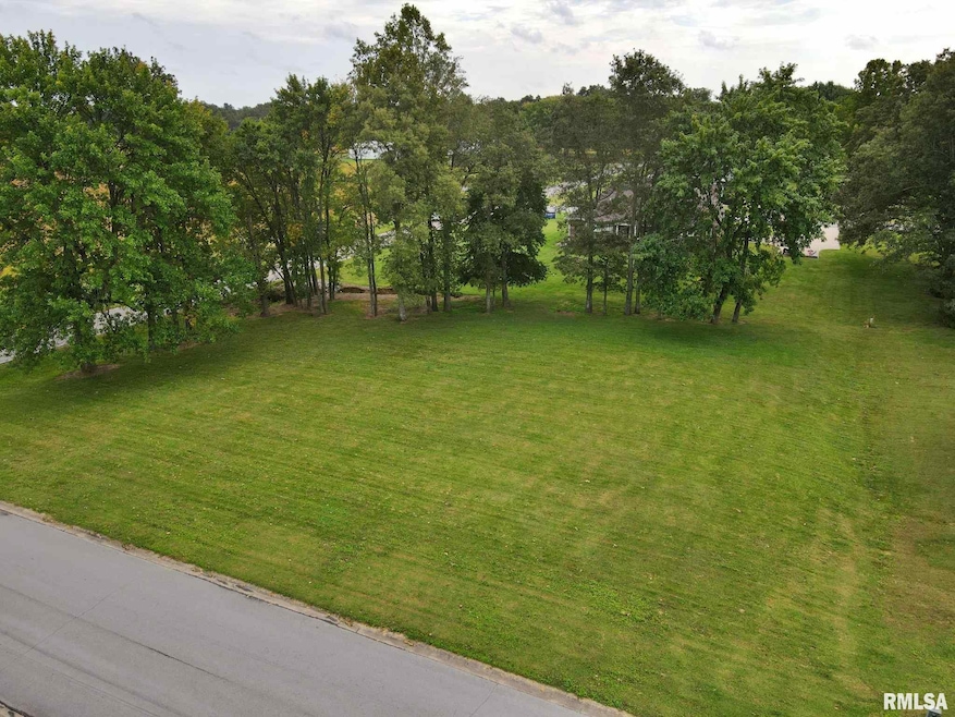 00 Hawthorne Ln, Grant, IL 62960 - photo 1