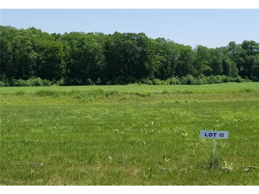 Lot 7, 8, 9, former Nelson Dr, Elmwood, WI 54740 - photo 1