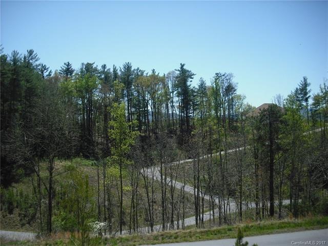 5 Hunting Ridge unit LOT 11, Leicester, NC 28748 - photo 1