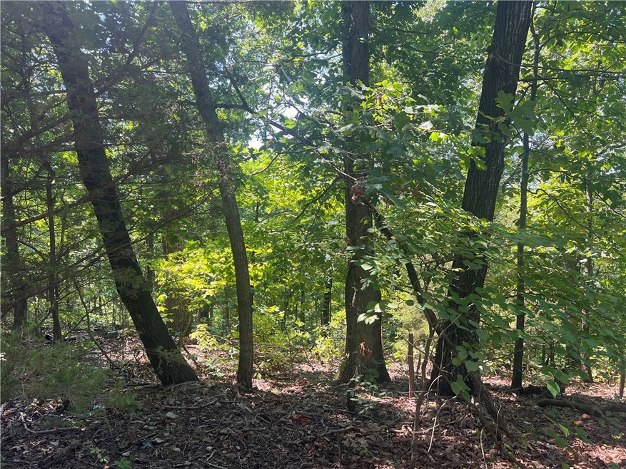 Lot 25 Queensborough Dr, Bella Vista, AR 72715 - photo 1