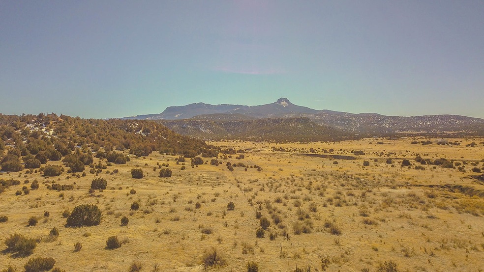 DJI_0637a