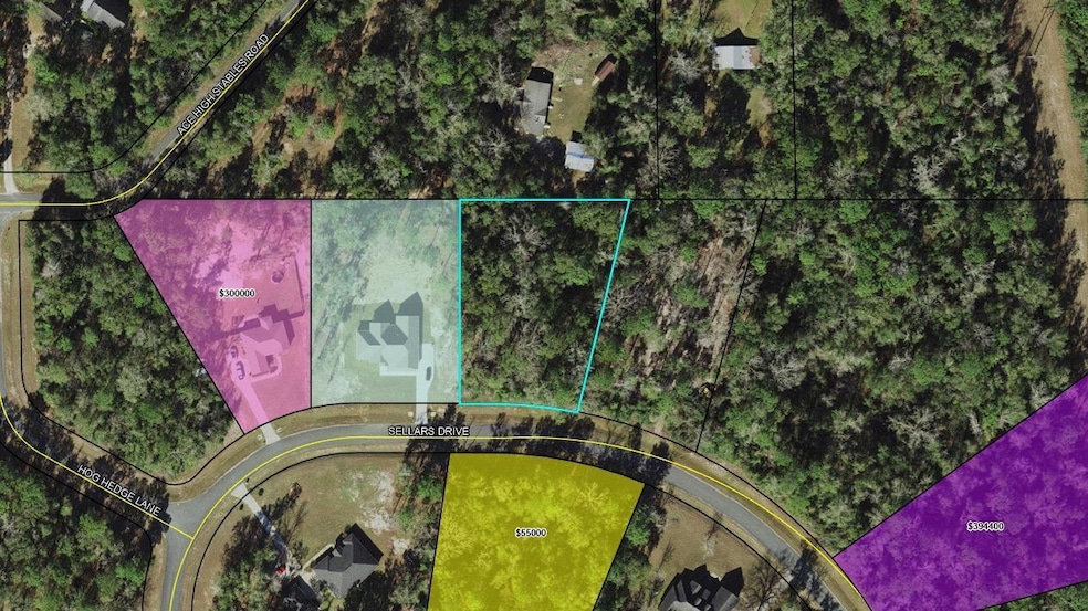 XXX Sellars, Crawfordville, FL 32327 - photo 1