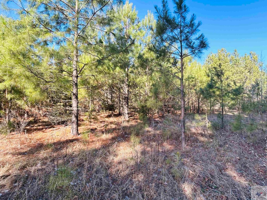 0 Trexler Rd, Texarkana, TX 75501 - photo 1