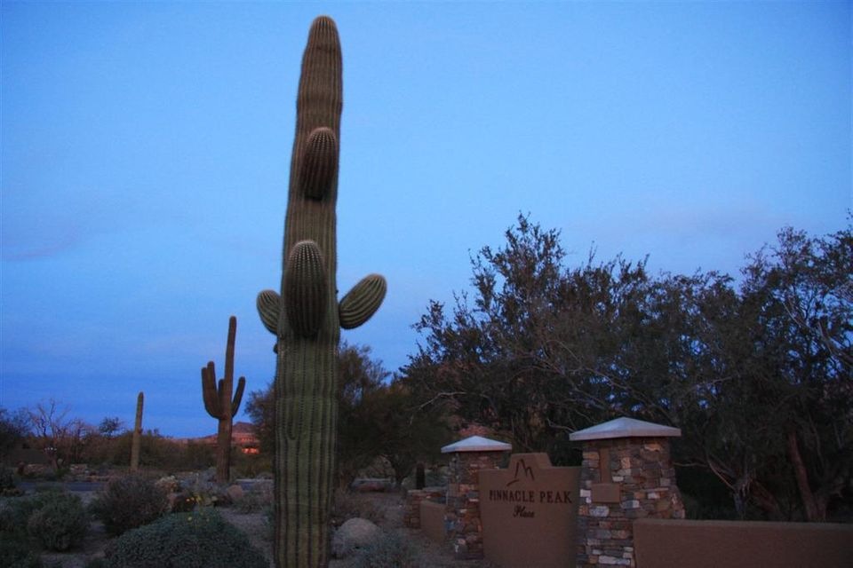 Pinnacel Peak Place