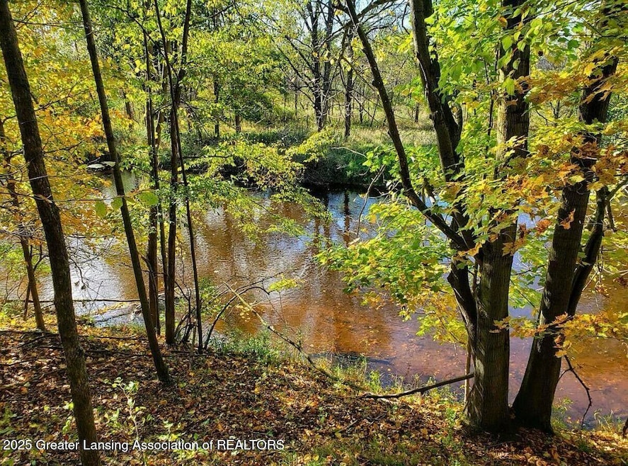 0 Chicory Ln unit 292757, Portland, MI 48875 - photo 1