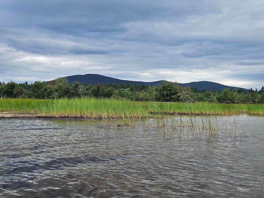 Map20Lot19 Carter Hill Rd, Fryeburg, ME 04037 - photo 1
