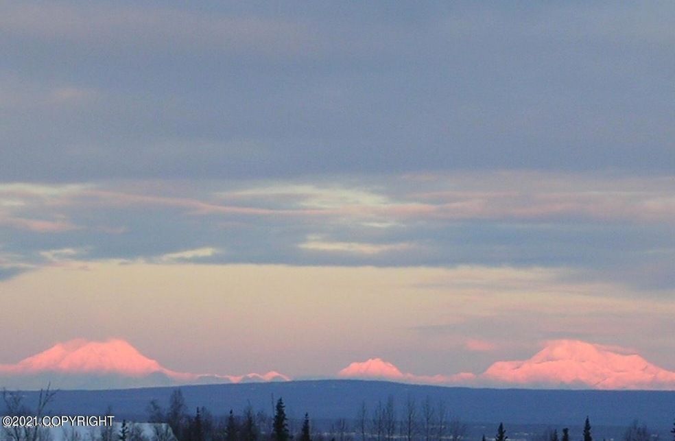 views of Denali & AK range