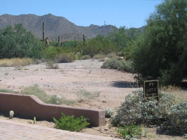Lot 5