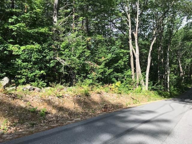 0 Senator Black Rd unit 1483493, Baldwin, ME 04091 - photo 1