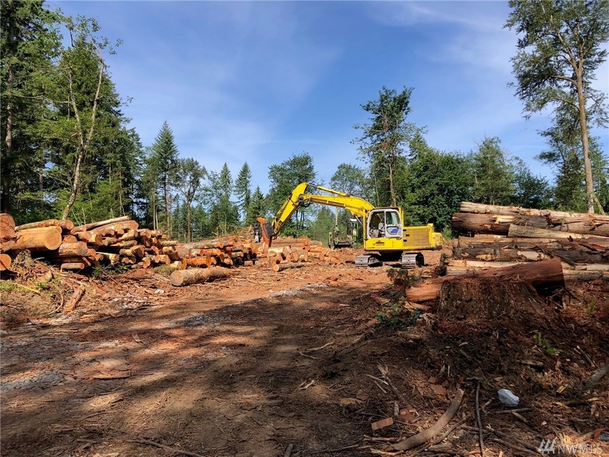 27148 Meridian E, Graham, WA 98338 - photo 1