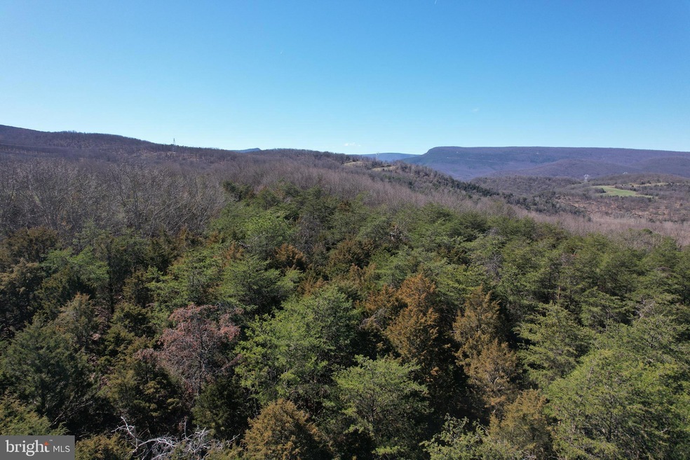 26847 Johnson Run Rd, Petersburg, WV 26847 - photo 1