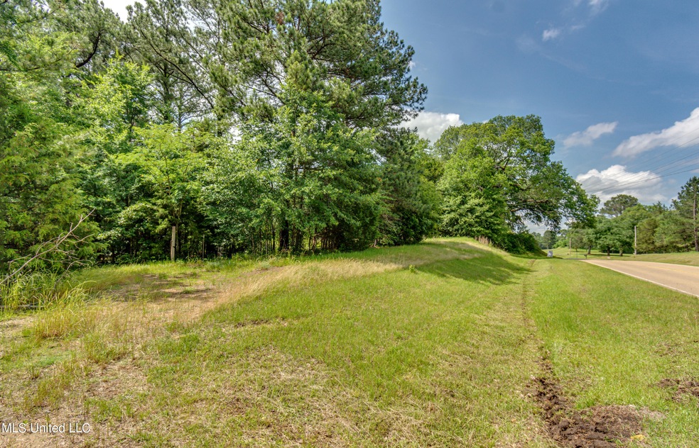 DSC_3627N Livingston Road Land (2)
