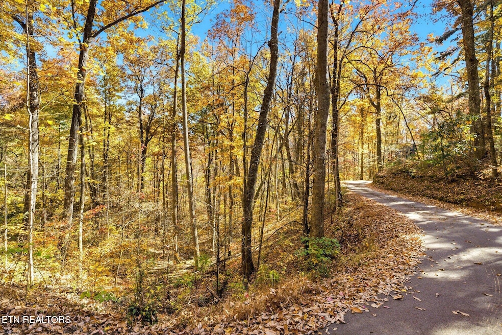 0 Grassy Branch Loop, Sevierville, TN 37876 - photo 1