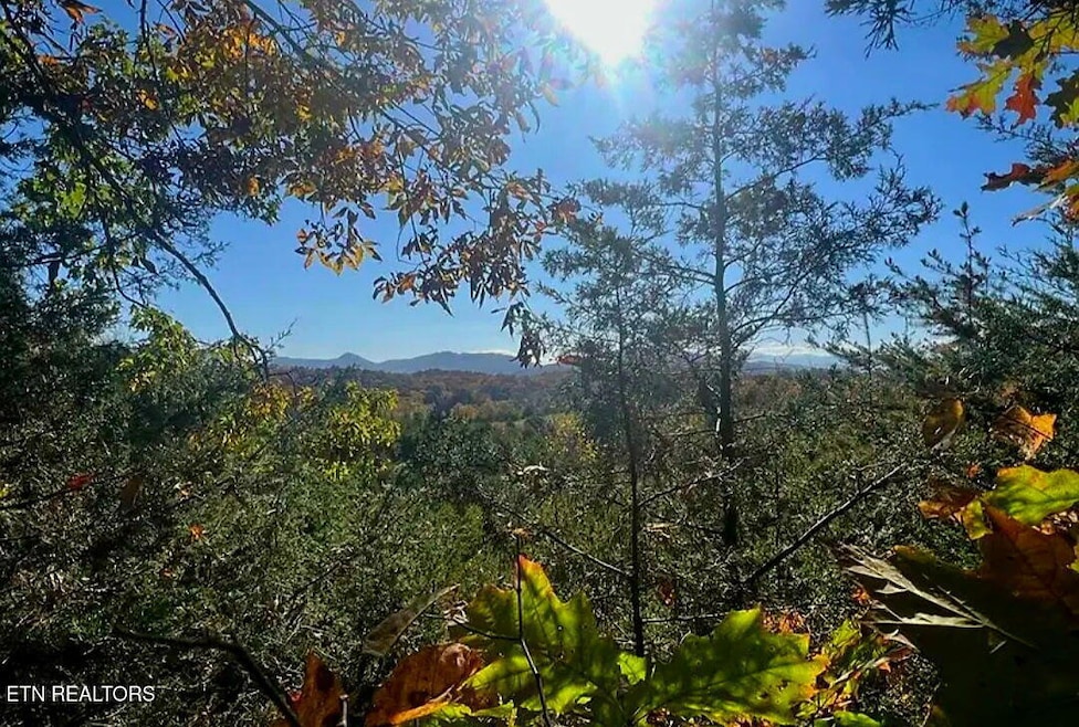 0 Manning Hollow Rd unit 1311320, Sevierville, TN 37876 - photo 1