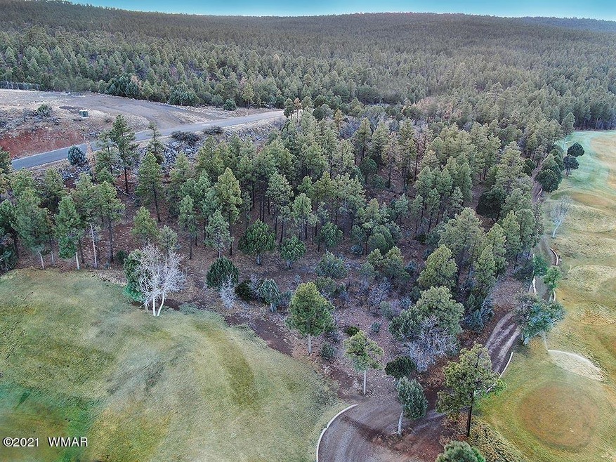 3400 Sage Ln, Show Low, AZ 85901 - photo 1