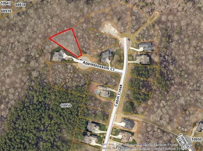 64 Appleblossom Ct, Pittsboro, NC 27312 - photo 1