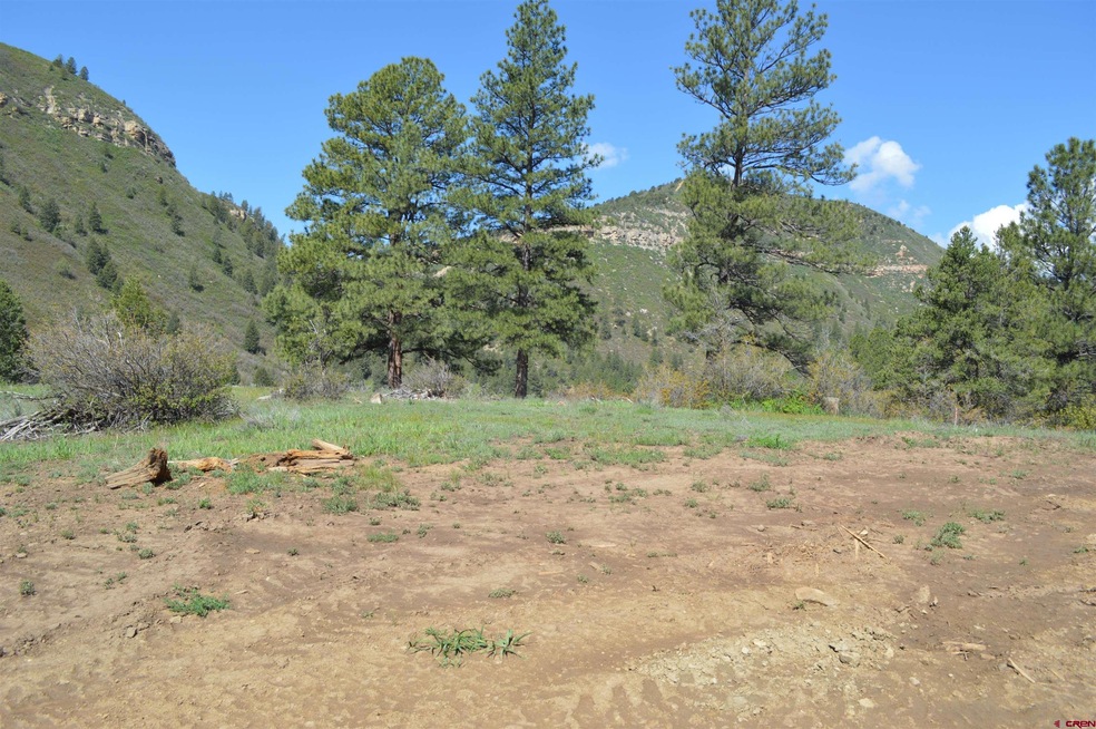 167 Wild Chives Court (Lot 108), Durango, CO 81301 - photo 1