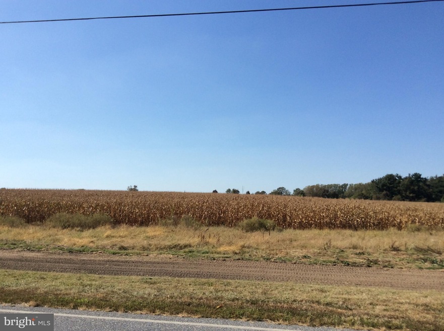 L7.04 Eldridges Hill Rd, Woodstown, NJ - photo 1