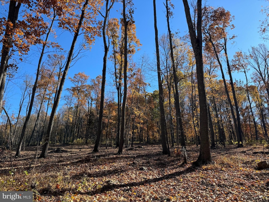 0 Digging Bear Ln unit VALO2111588, Purcellville, VA 20132 - photo 1